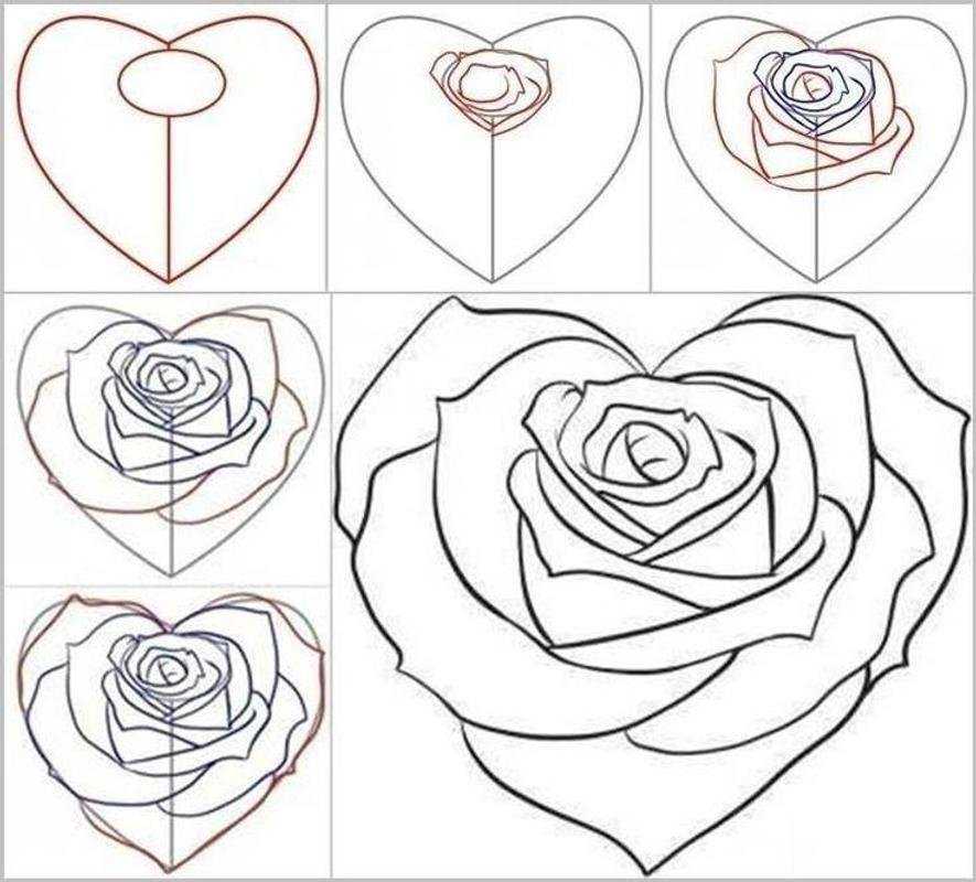 Как нарисовать красивое сердечко карандашом — поэтапные мастер-классы для начинающих