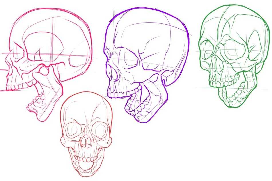 Как нарисовать череп карандашом: поэтапная схема рисования черепа человека от художников + инструкция для детей