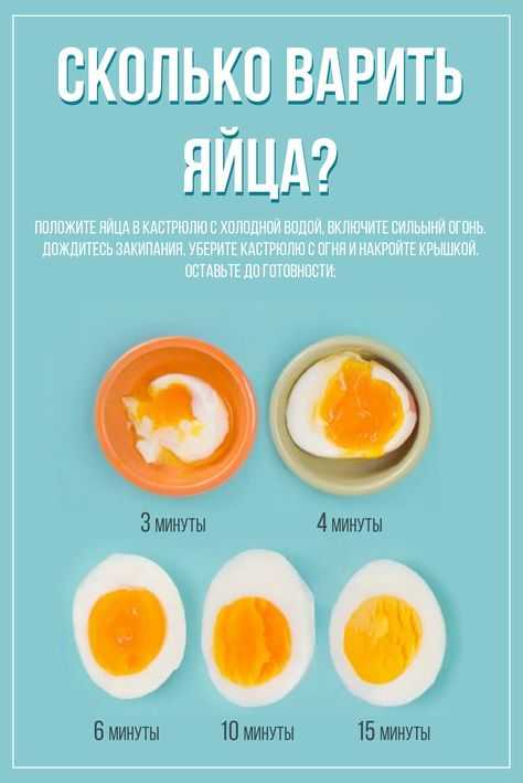 Как сварить яйца в микроволновке: сколько, правила, рекомендации