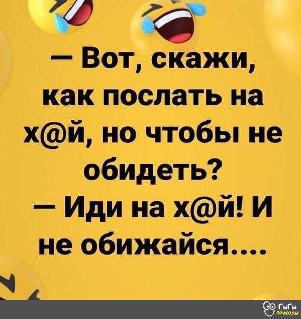 Как играть с волнистым попугаем -