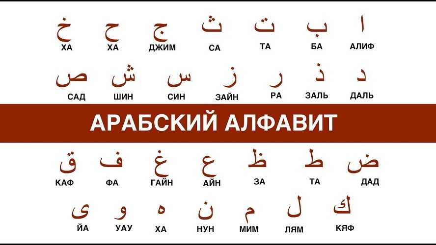 11 слов, помогающих понять арабскую культуру  •  arzamas