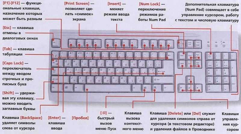 Как настроить кнопки клавиатуры на компьютере