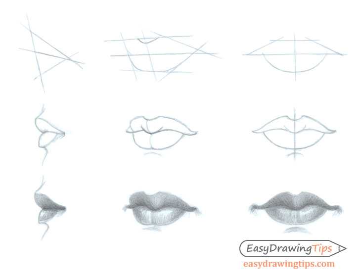 Как красиво обвести губы карандашом в макияже: схема с описанием, увеличение и уменьшение губ с помощью макияжа, советы визажиста, фото