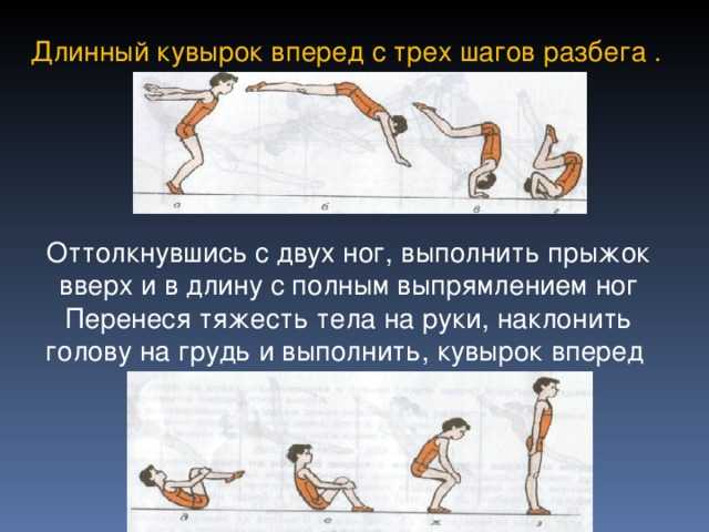 План конспект кувырок вперед и назад