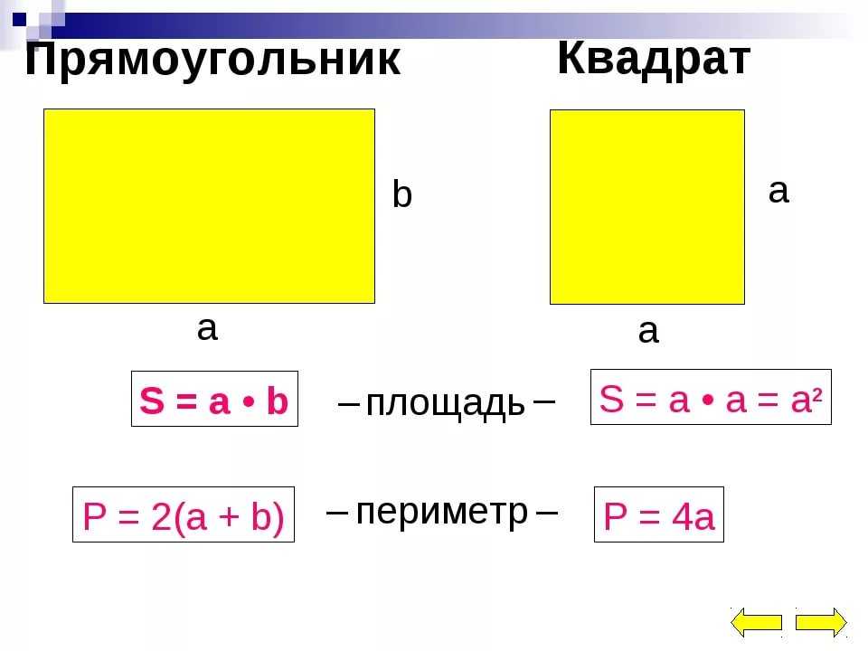Периметр квадрата и прямоугольника. способы определения и примеры решения. :: syl.ru