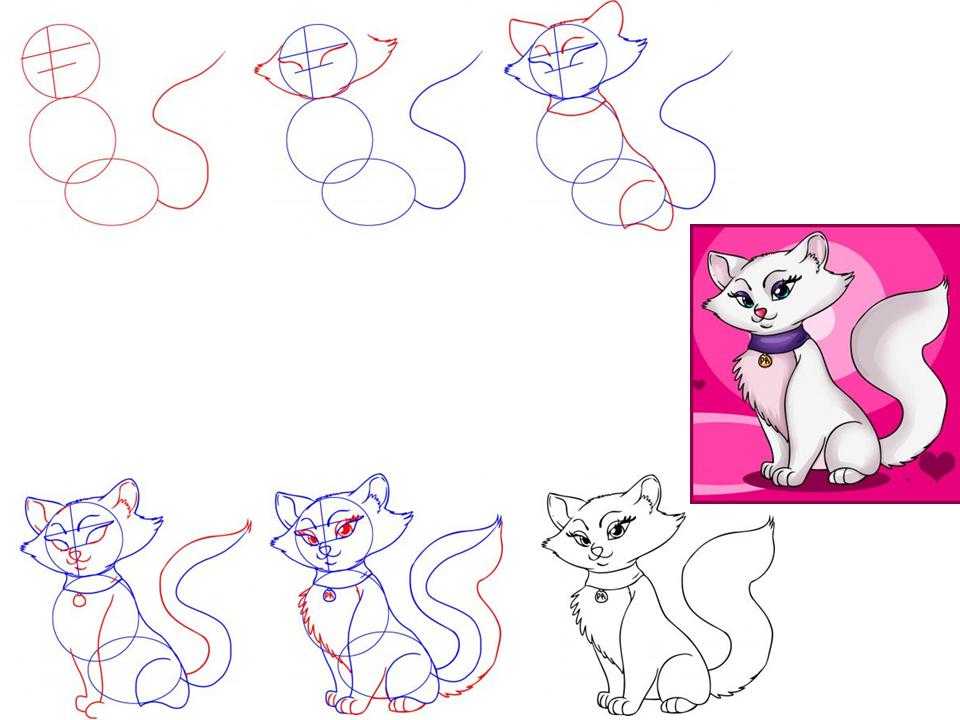 Рисунки пошагово. Поэтапное рисование кота. Рисунок кошки для начинающих. Поэтапное рисование кошки для детей. Как красиво рисовать котиков