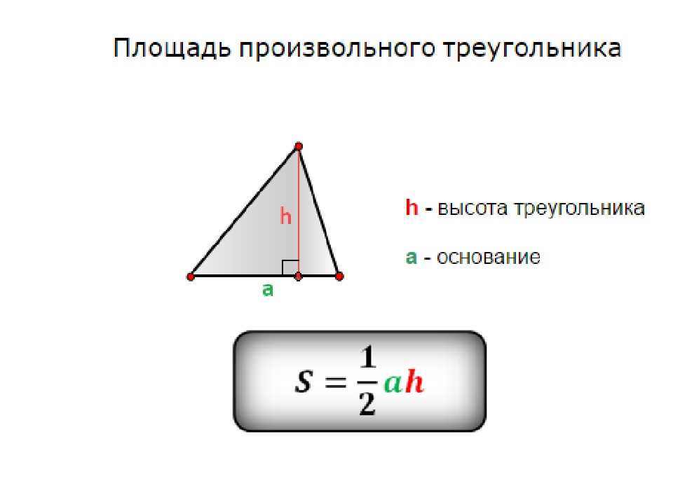 Как построить высоту треугольника - основные способы