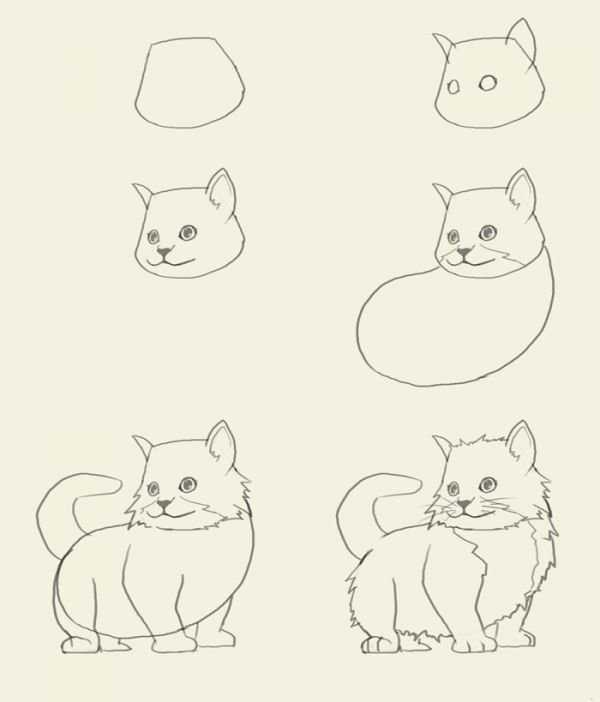 Как рисовать кошек. поэтапное руководство по рисованию котов и кошек