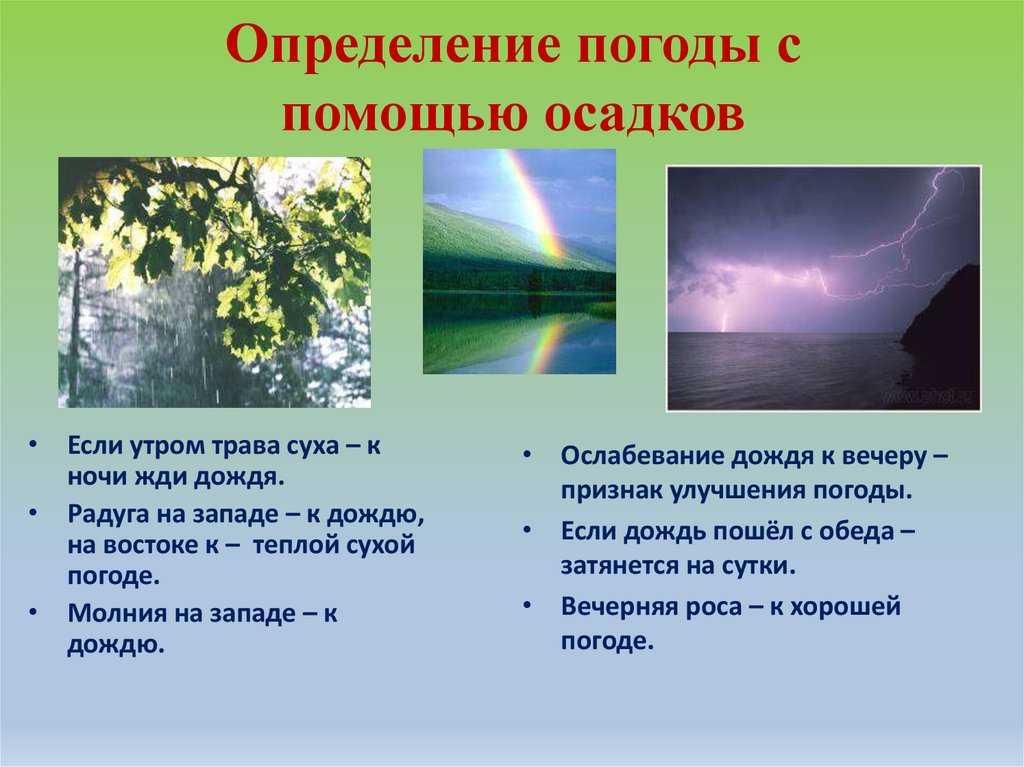 Несмотря на теплые и даже жаркие дни в августе обычно заметны приметы наступления осени схема