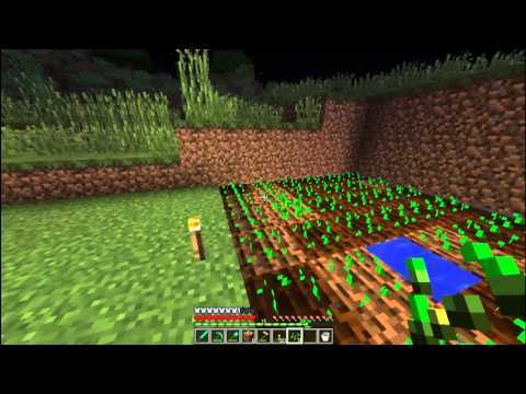 Ферма пшеницы, свёклы, моркови и картофеля — minecraft wiki