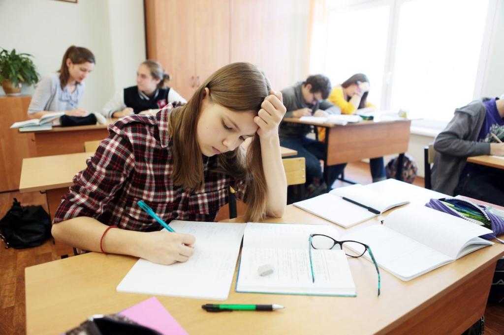 5 за экзамен картинка