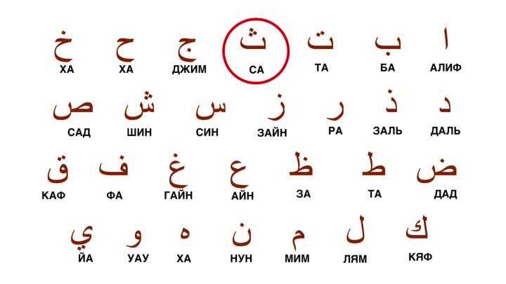 Удвоенные согласные в арабском языке. «хамза». обороты принадлежности и личные местоимения