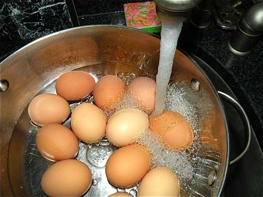 Как и сколько варить яйца