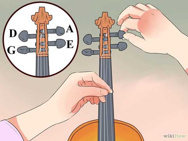 Как учиться играть на скрипке - wikihow