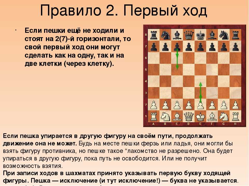 Практические советы по игре в шахматы