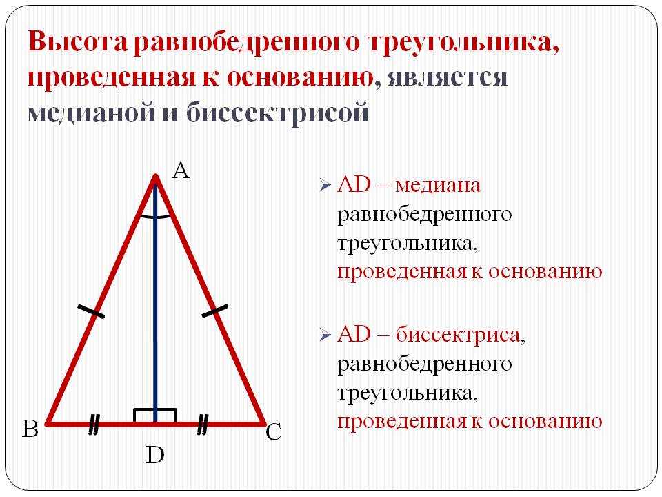 Как найти площадь треугольника, формула 🔺