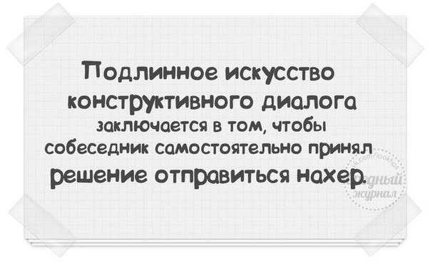 Как дрессировать волнистого попугая: 12 шагов