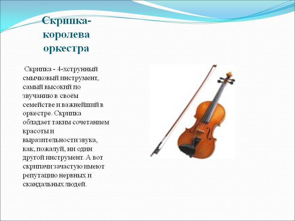Проект скрипка королева музыкальных инструментов