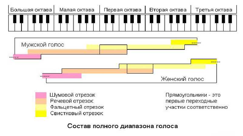 Диапазоны голосов схема с октавами