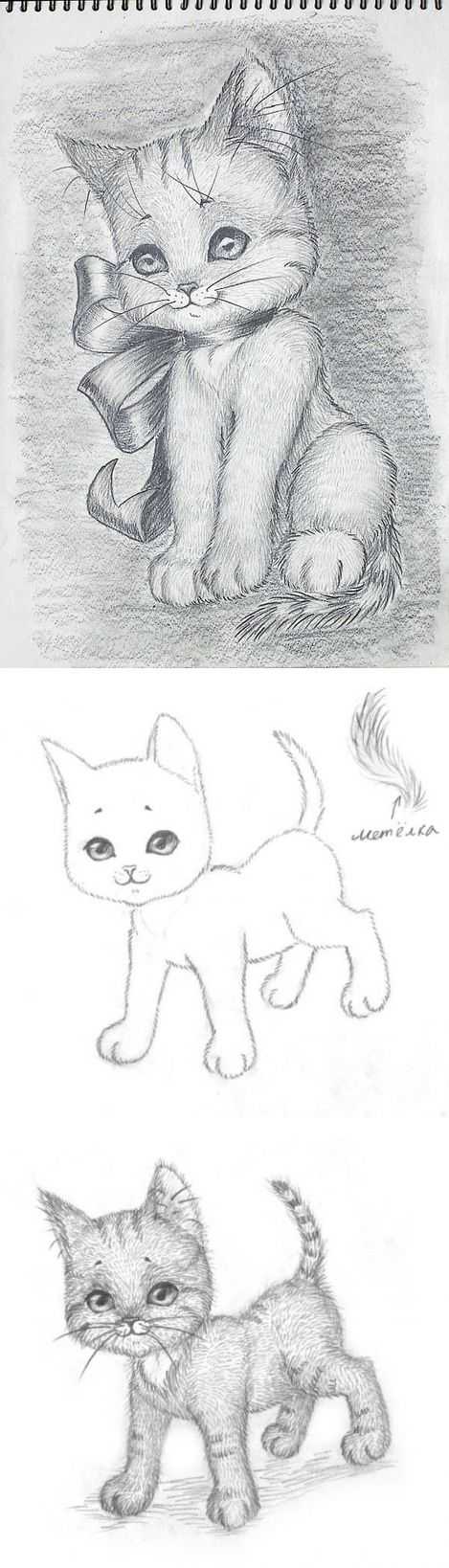 Как нарисовать кошку поэтапно карандашом – легкие мастер-классы по рисованию кошки