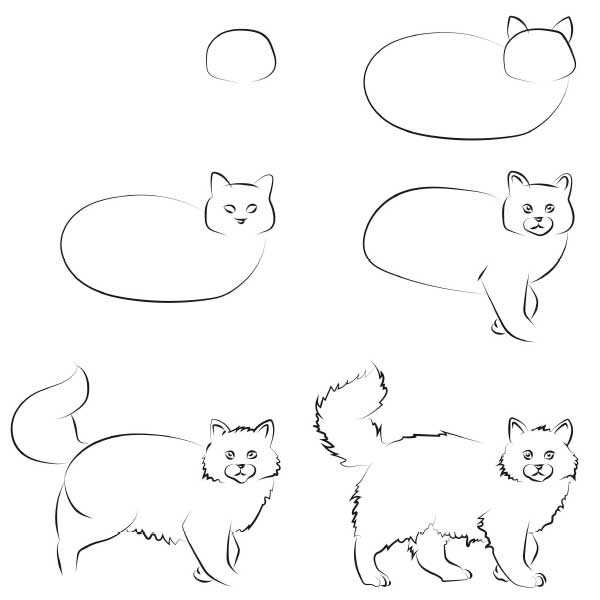Как нарисовать кошку - пошаговый урок для начинающих