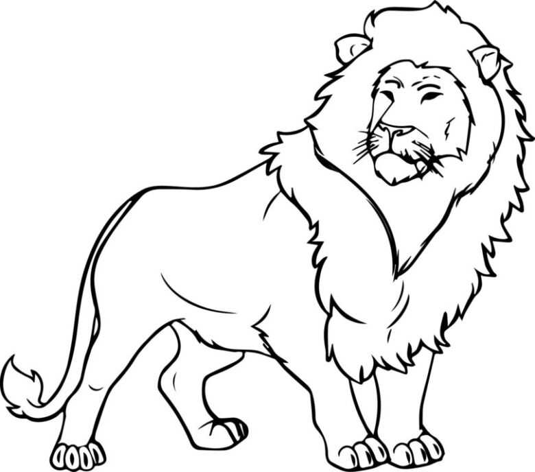 Как нарисовать льва своими руками пошагово: интересный мастер-класс с обзором идей, схем и картинок от художника