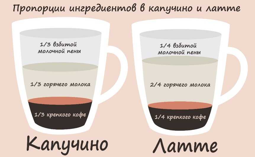 Как сделать капучино с помощью капучинатора быстро