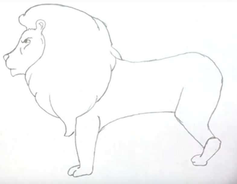 Как нарисовать сидящего льва- рецепт пошаговый с фото