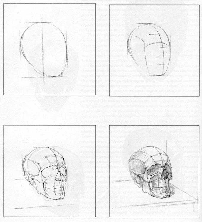 Как рисовать череп поэтапно карандашом для начинающих. как нарисовать череп, соблюдая пропорции