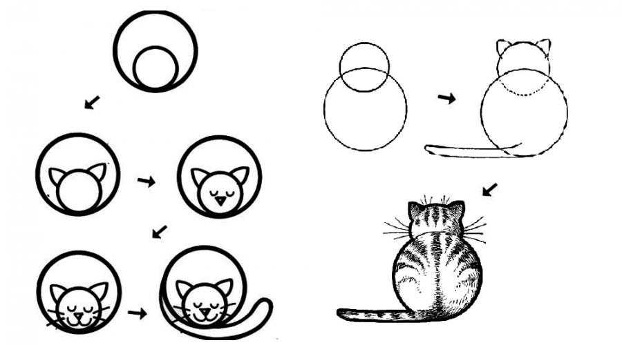 Как нарисовать кошку поэтапно карандашом (51 фото) - легкие мастер-классы по рисованию кошки
