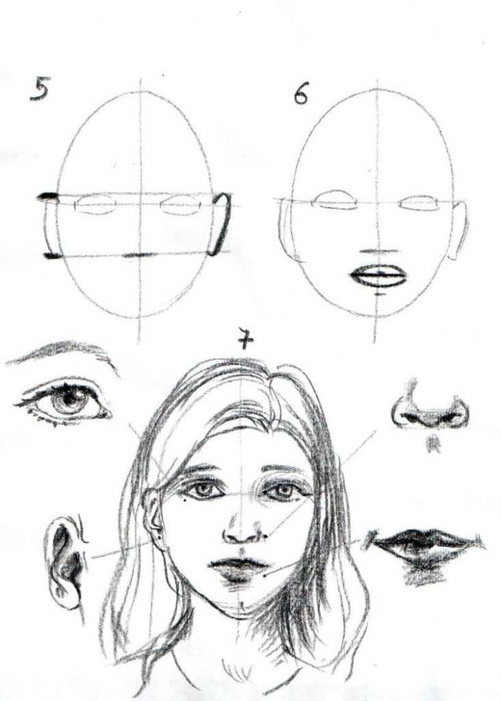Как нарисовать портрет поэтапно: учимся рисовать портрет человека карандашом (мамы, девушки, девочки и мужичины)