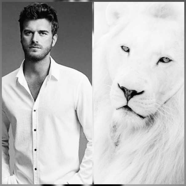 Мужчина лев после 50. Мужчина Лев. Лев модель парень. Портрет мужчины со львом. Фотосессия парень со львом.