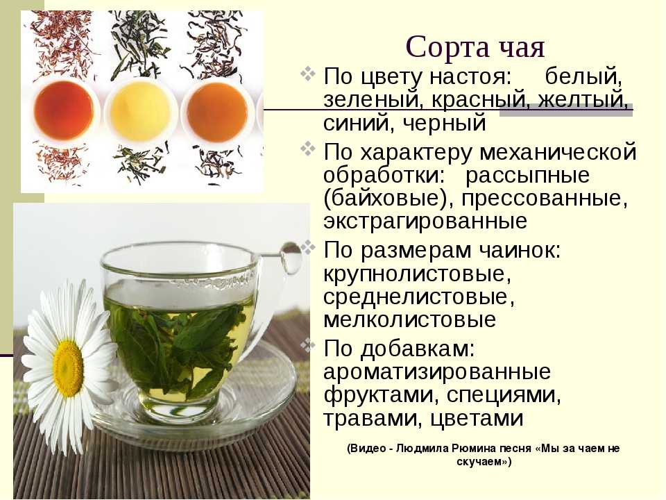 Как правильно пить зеленый чай: 14 шагов