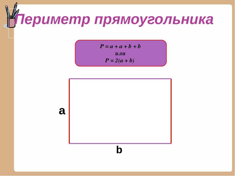 Как вычислить площадь и периметр прямоугольника