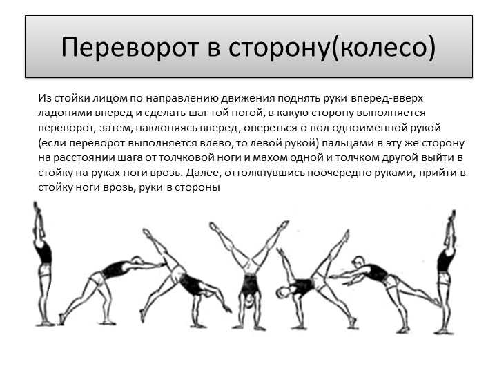 Совершенный переворот