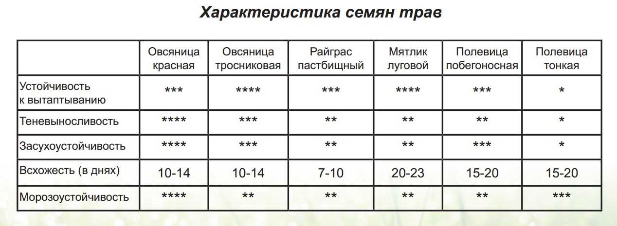 Уход за газоном: как сажать и ухаживать после посадки летом, пескование и мульчирование травы, когда и как проводить вычёсывание своими руками на даче
