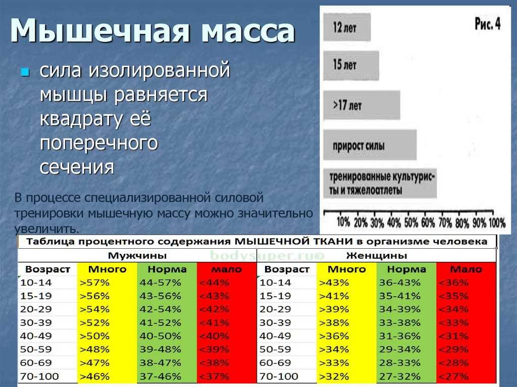 Как набрать мышечную массу: 10 советов по тренировкам и образу жизни | gq russia