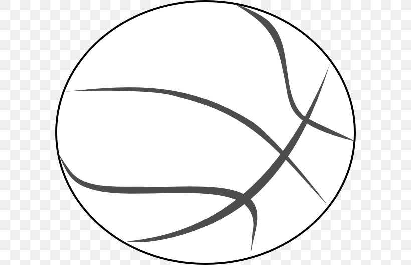 Основные правила техники ведения мяча в баскетболе: кратко и ясно