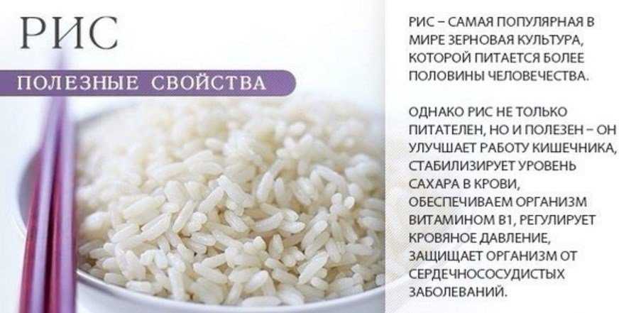Как правильно варить рис / советы и рецепты – статья из рубрики "как готовить" на food.ru