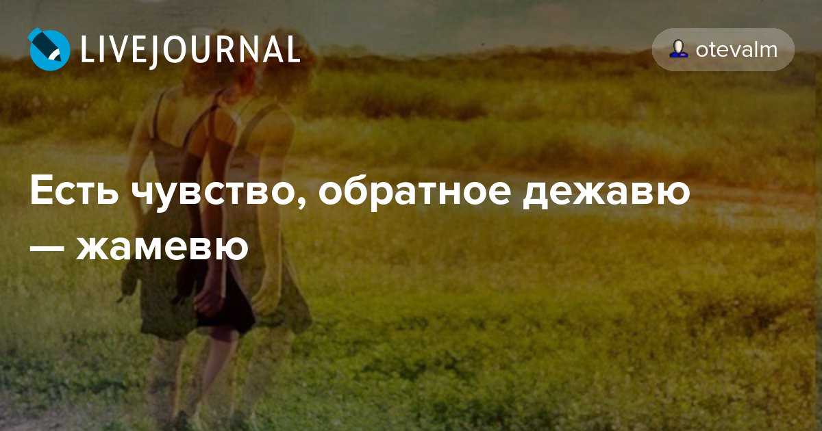 Наши встречи неслучайны: 8 причин, по которым вселенная посылает людей в вашу жизнь