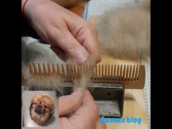 Как прясть собачью шерсть: приспособления и методы в домашних условиях