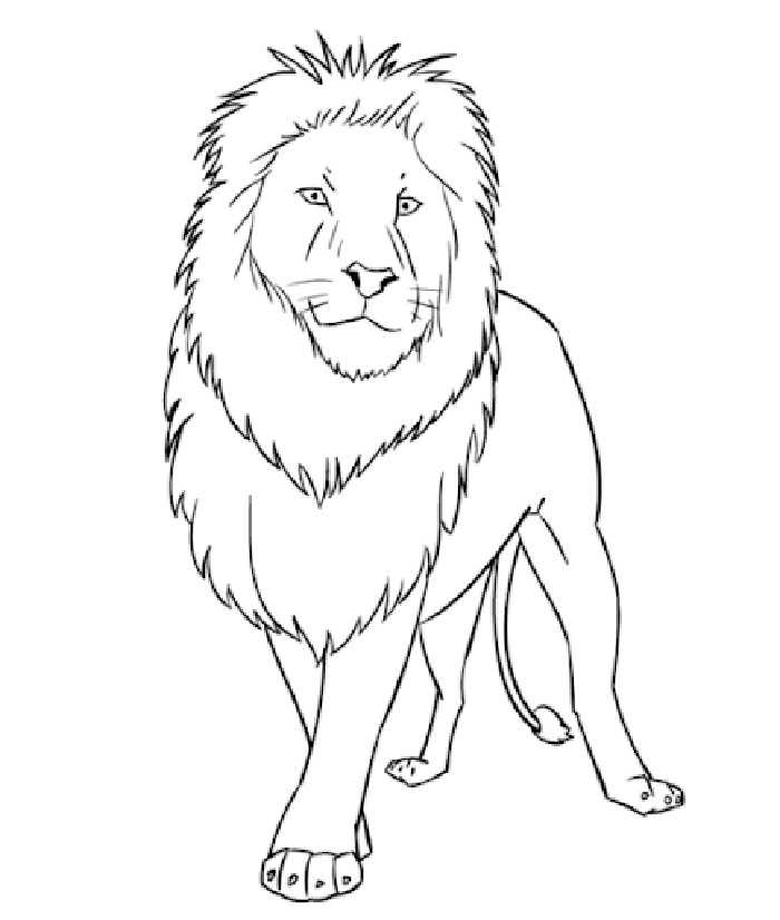 Как нарисовать льва ~ инструкции на все случаи жизни