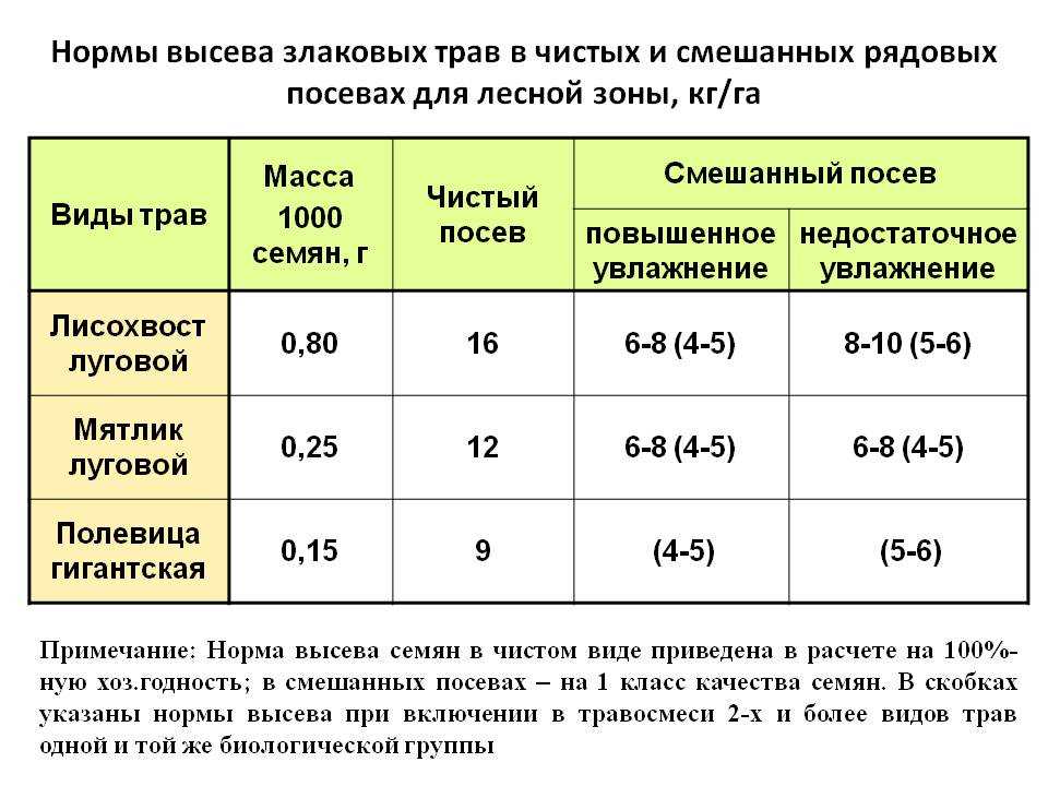 Техника ухода за газоном весной, летом, осенью: как правильно ухаживать за газонной травой