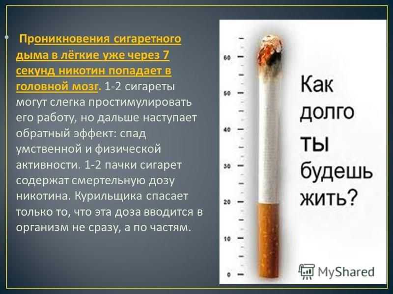 Как курить в затяг, способы курения сигарет и последствия этого