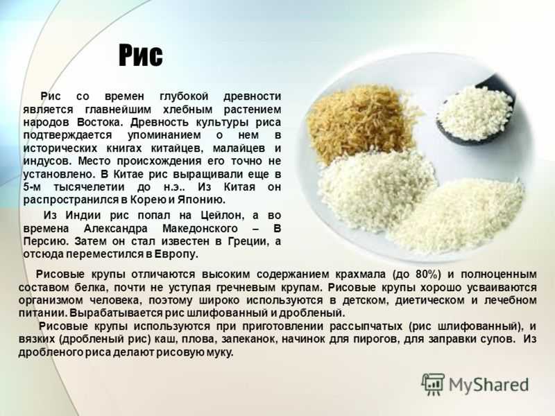 Рецепты рис арборио