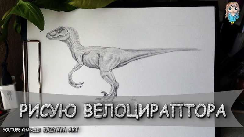 Как нарисовать динозавра карандашом