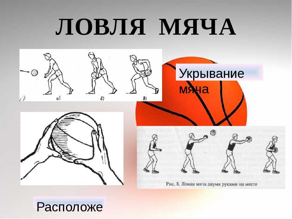 Как научиться играть в баскетбол? | спорт | полезный сайт "научиться"