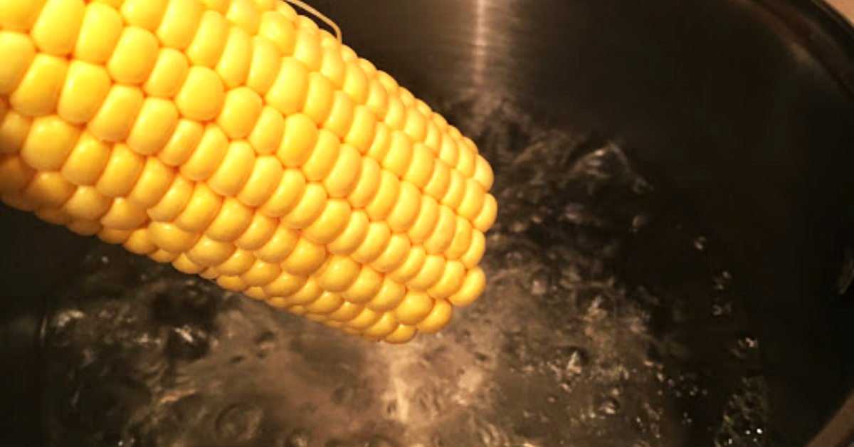 Как варить кукурузу так, чтоб "любовь с первого початка"? топ 10 способов