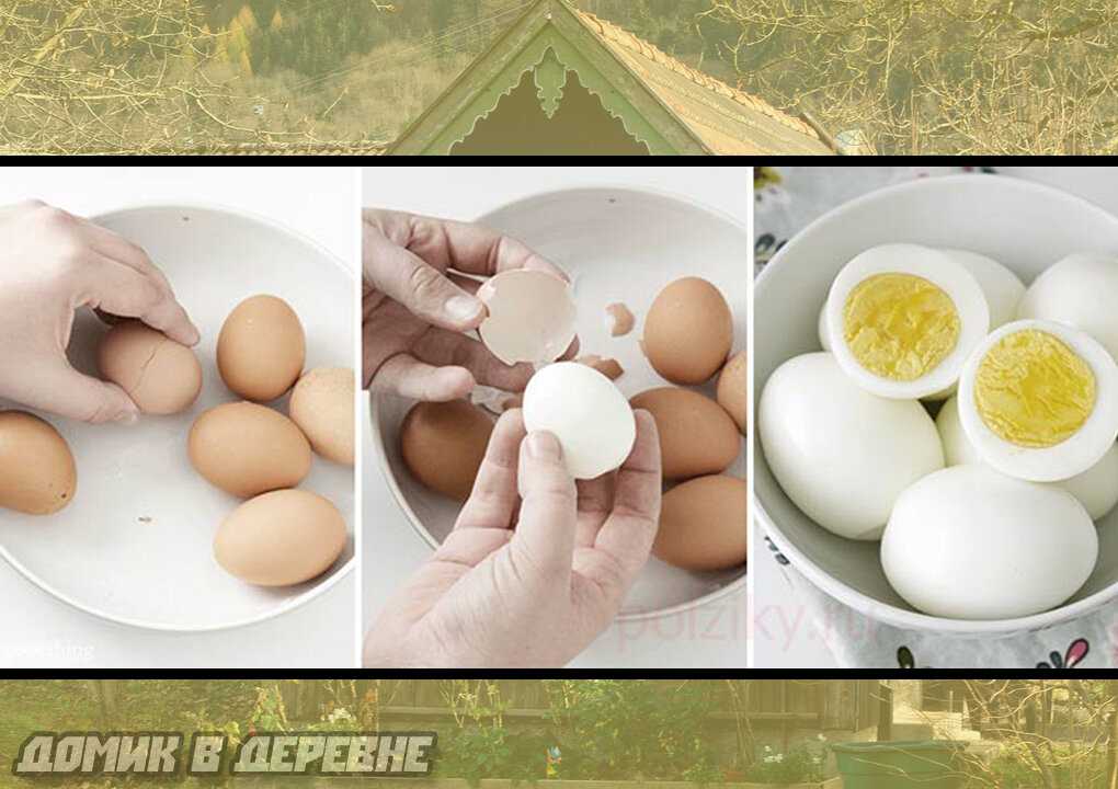 Как правильно варить яйца — рецепты, ингредиенты, приготовление, фото, видео