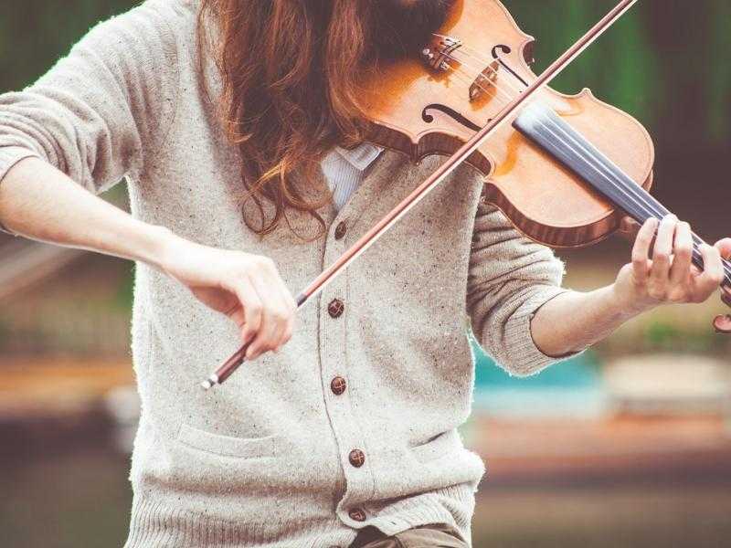 Уроки игры на скрипке для начинающих: бесплатные видео для домашнего обучения - все курсы онлайн
